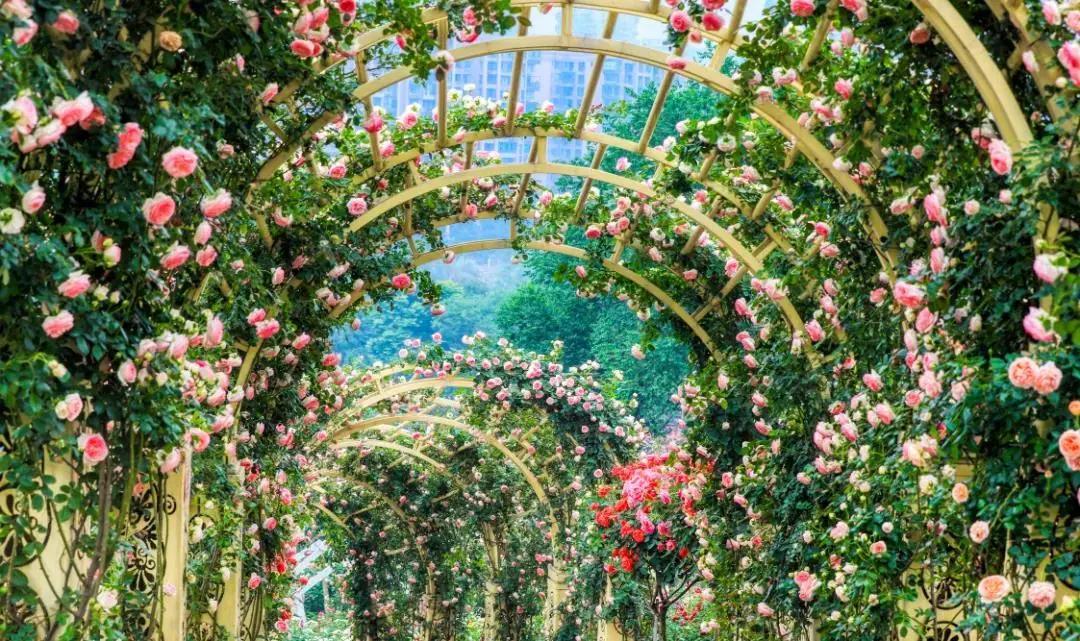 周边有什么可逛的地方吗,4月适合去哪儿旅游攻略