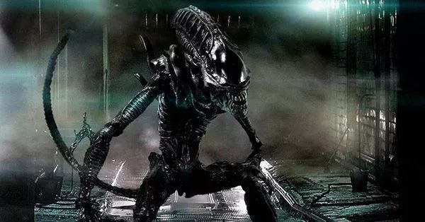 动漫设计和动画设计有什么区别,动画设计为什么不建议许多人去学