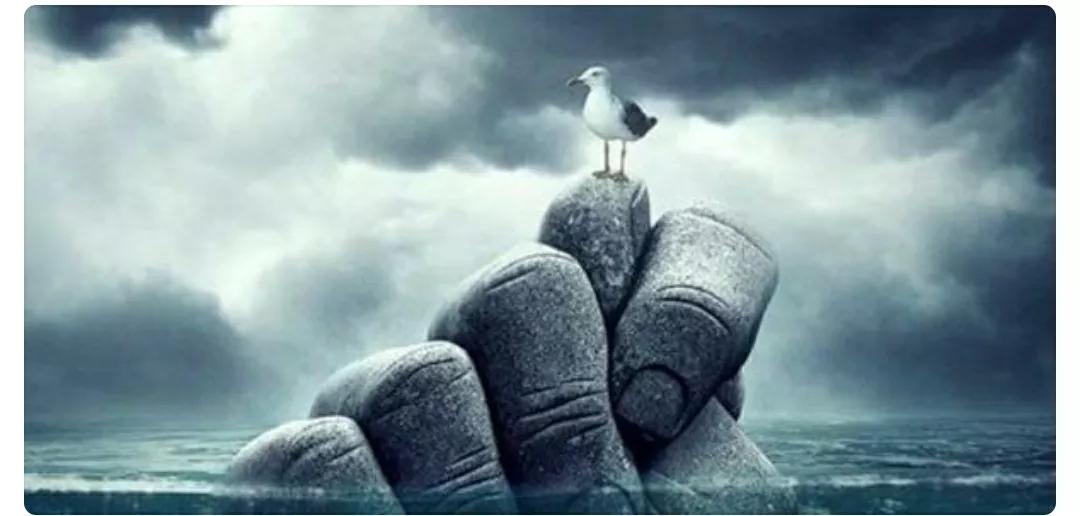 走出重度抑郁症开悟,走出抑郁自我疗愈课程