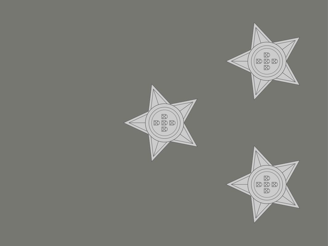 各国军队标识葡萄牙陆军,各国军衔标识葡萄牙