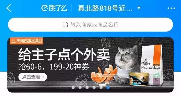 从学猫叫到猫爪杯，千亿级萌宠市场，下一个风口离你有多近？