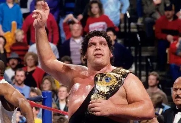 淇濆姞鍒╀簹鍗佸ぇ浼犲鏄庢槦,淇濆姞鍒╀簹鐜懓鐜嬪浗