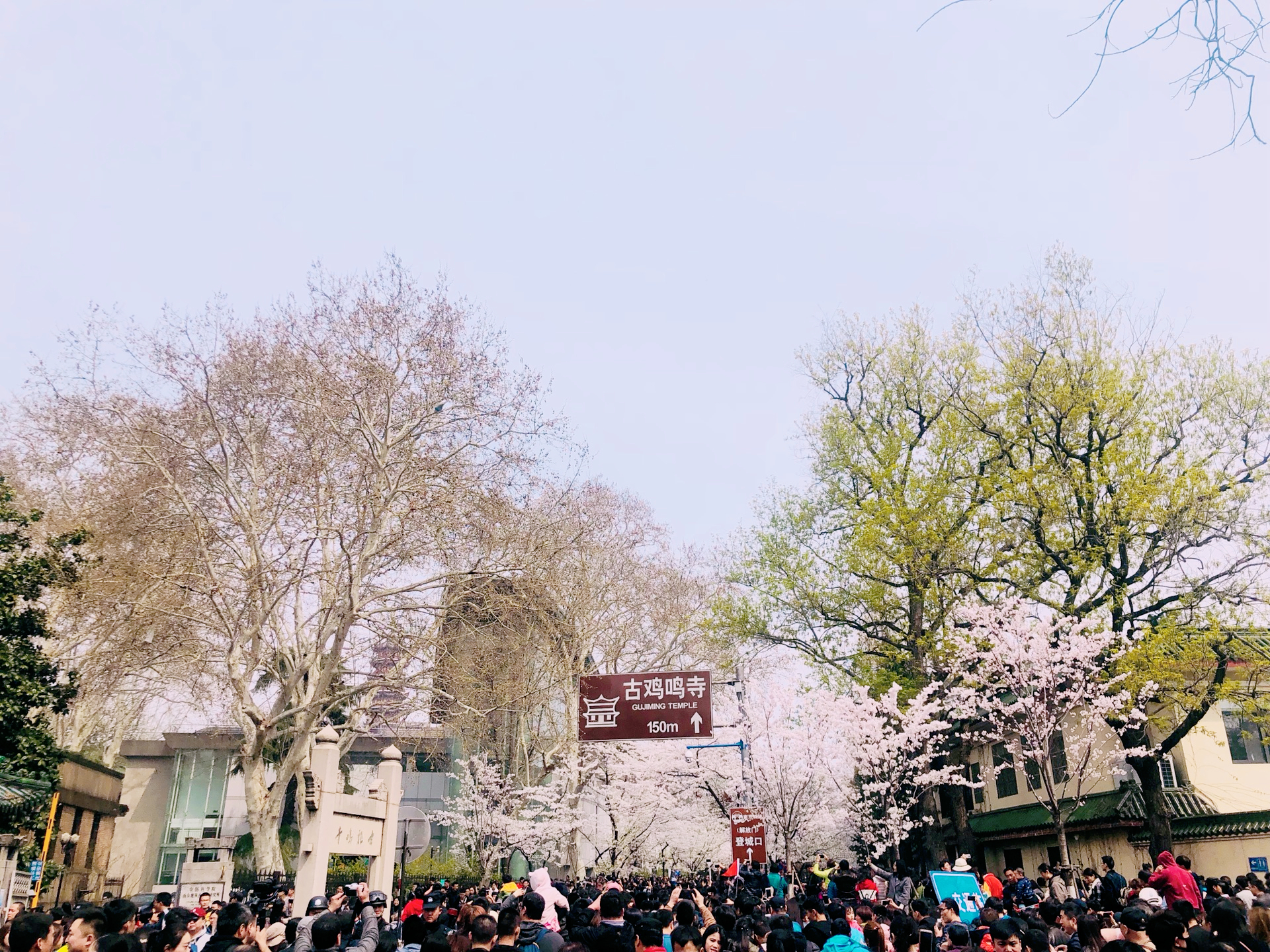 南京可不只有夫子庙,南京鸡鸣寺什么吃的