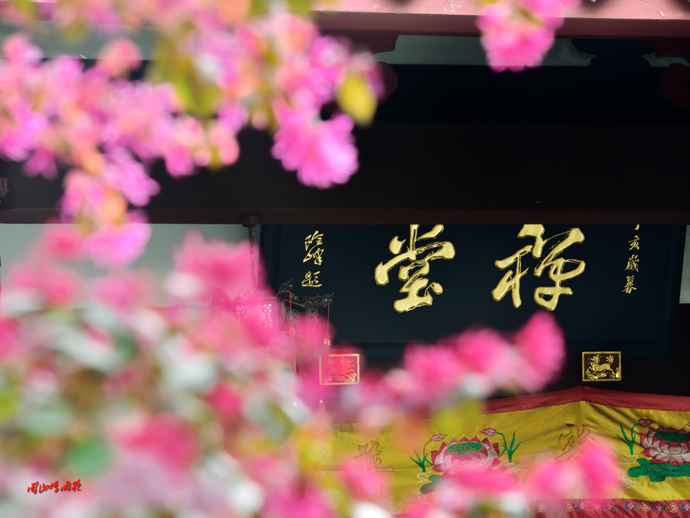 一春芳意，三月如风，日长风静，花影闲相照。