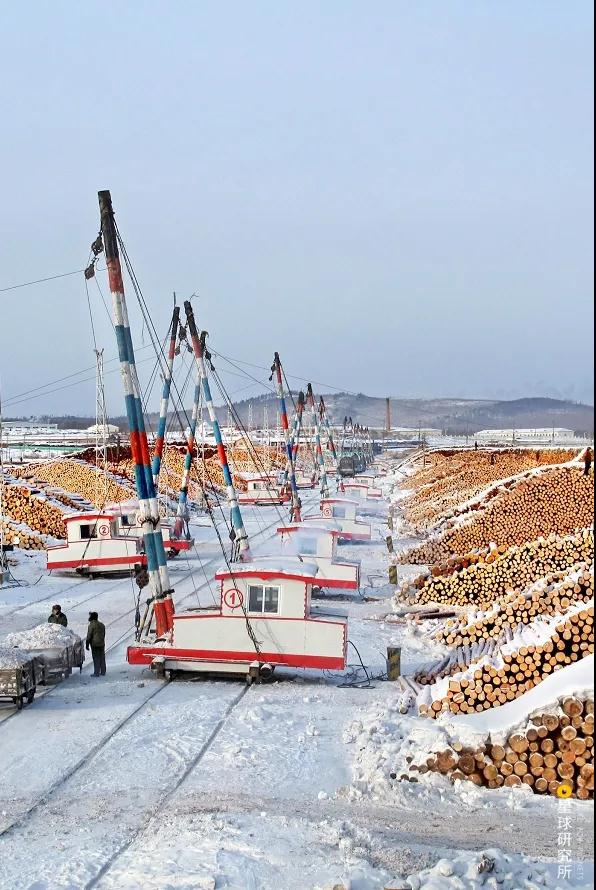 中国植树造林面积,中国植树造林成果国外有什么看法