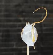 甜粽?咸粽?不纠结,去锦里看吹糖人呀