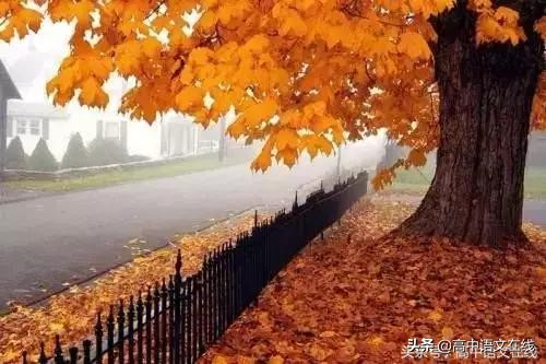 英语作文结尾万能金句谚语大全,英语谚语100个常用小学