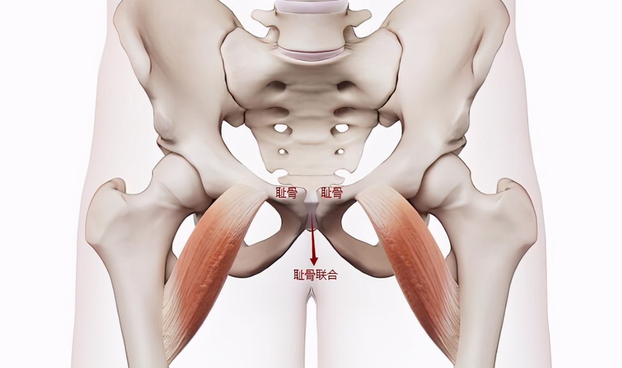 孕期逃不掉的“耻骨痛”,到底痛在哪里?5招可帮孕妈有效缓解