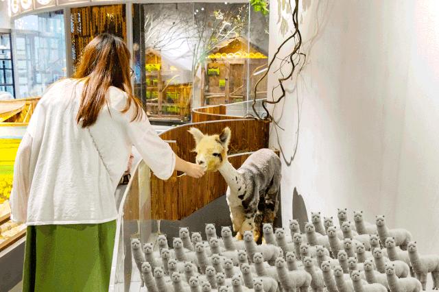 19.9包邮毛绒羊驼,羊驼9.9元秒杀直播