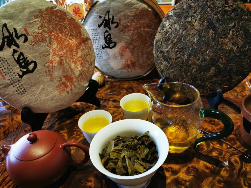 谈茶普洱,谈普洱老茶