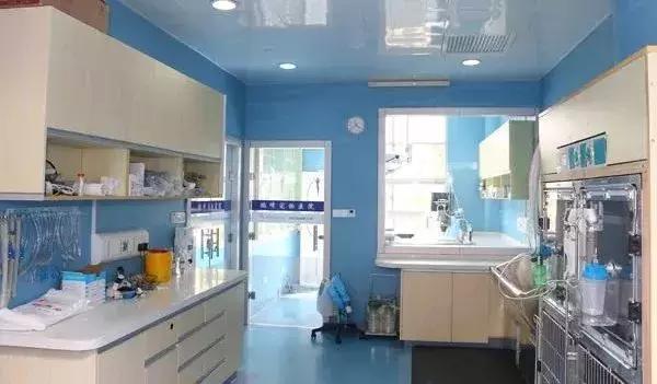 猫咪生病了带它去医院,猫咪生病去医院检查流程