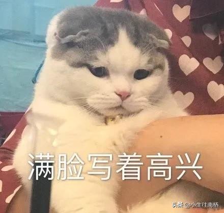 上网课做菜,上网课学做菜