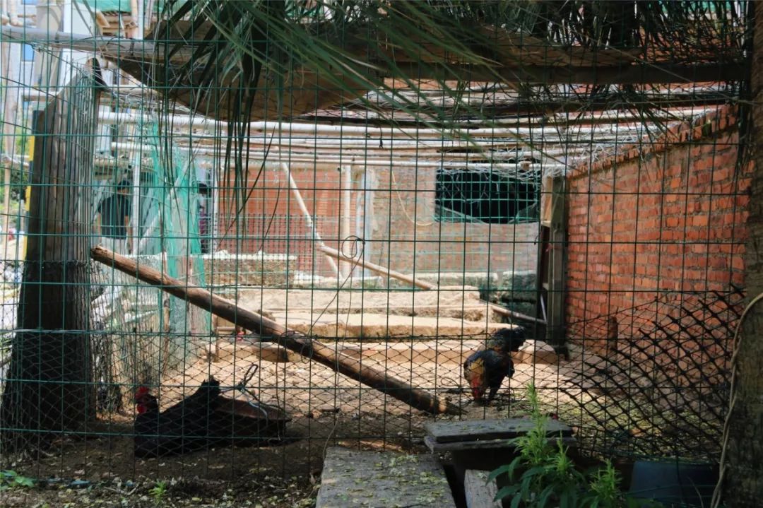 翔安机场建设效果图,翔安机场全景