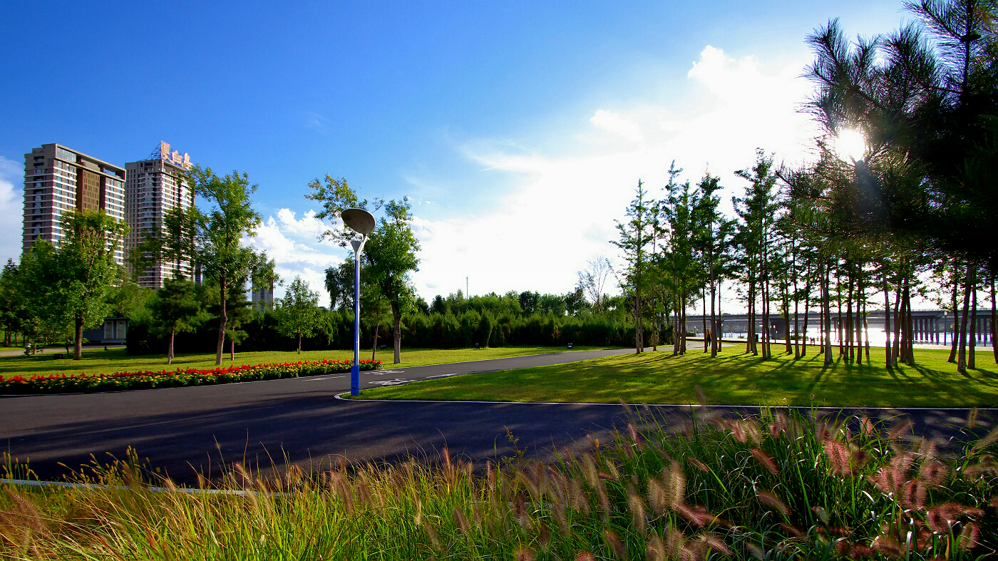 东北唯一新一线的城市,东北唯一的特大城市