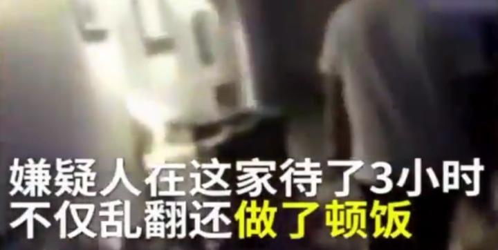 这波「搞笑违法行为集锦」,要承包律师们的今日笑点