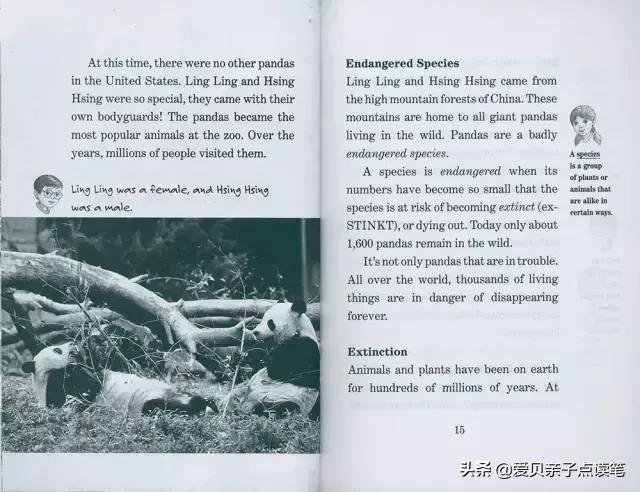 神奇树屋基础和进阶故事一样吗,神奇树屋小百科