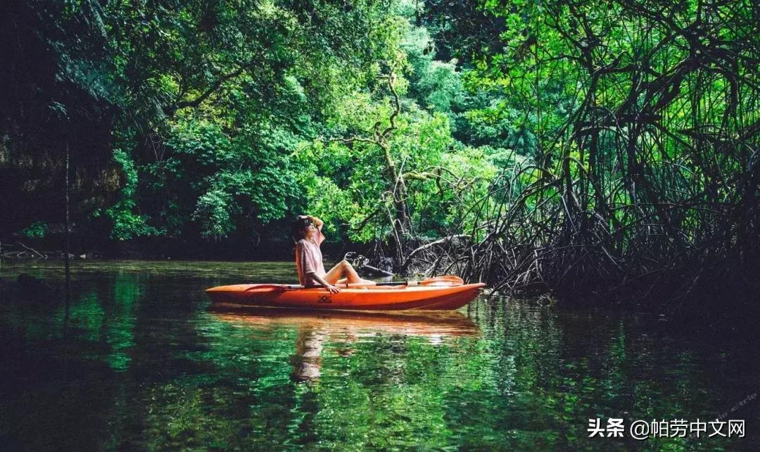帕劳旅行水母湖,帕劳水母湖海岛