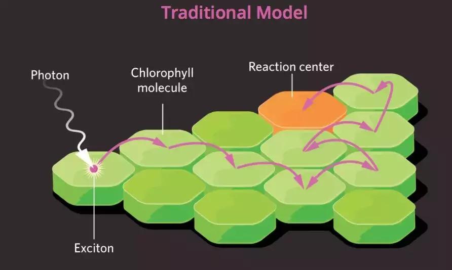 量子力学对生物的影响,可怕的量子生物学