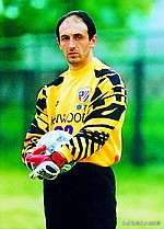 中国足球史上十大最强门将,中国足坛十大外籍球星