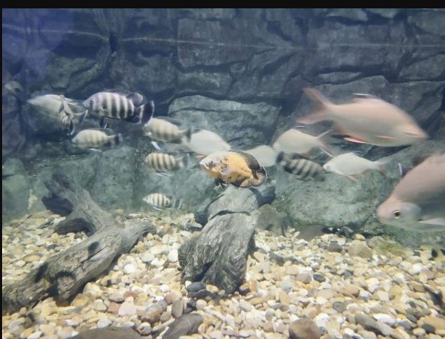 常州金鹰海洋世界门票,常州海洋金鹰海洋世界