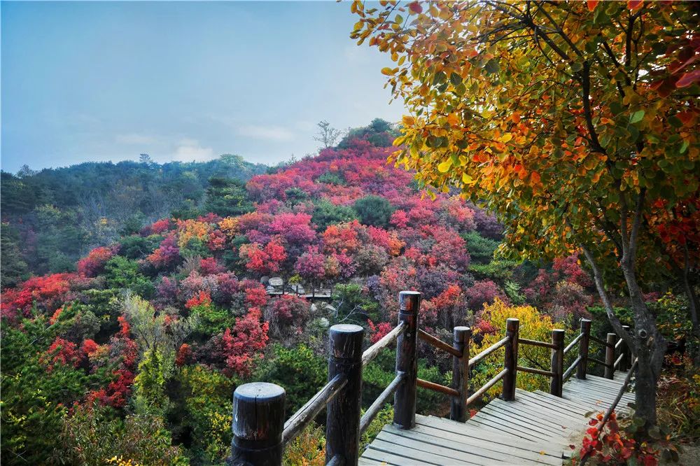 济南适合带娃去的公园,济南适合遛娃的景区