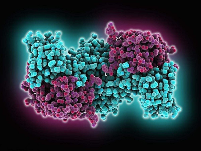 如何才能让孩子的身高“窜一窜”？