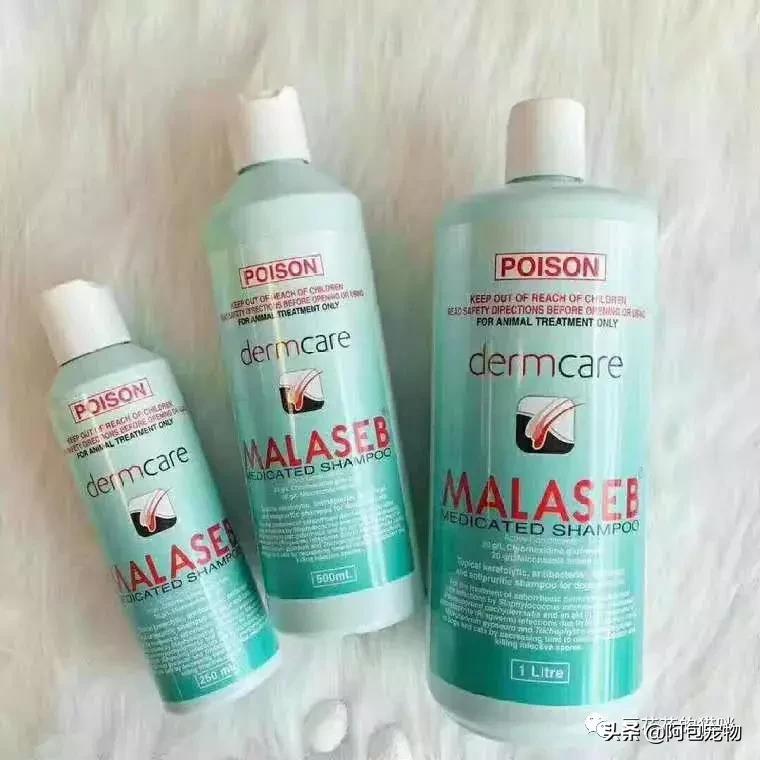 治疗猫癣最好的方法,治疗猫癣的最快的办法