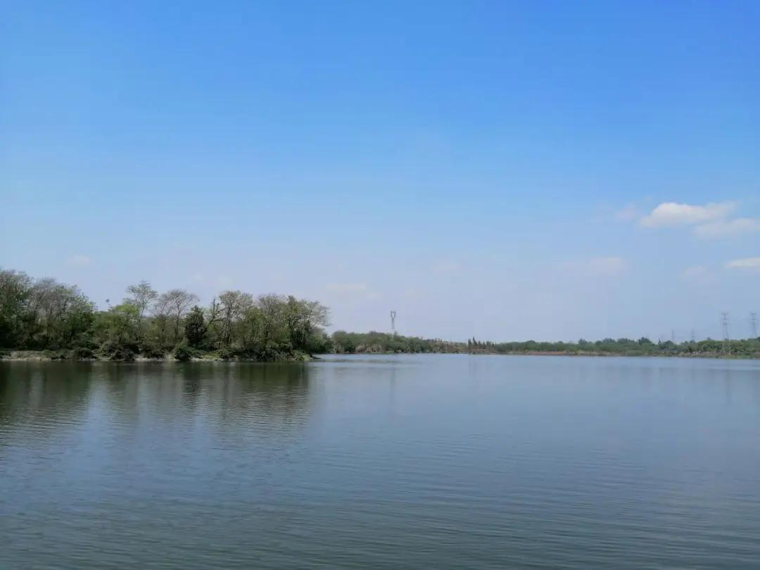 温江金马湖现状,金马湖烂尾楼在哪里