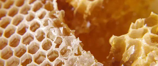 吃蜂胶真的有那么神奇吗,吃蜂胶能保护肾脏吗