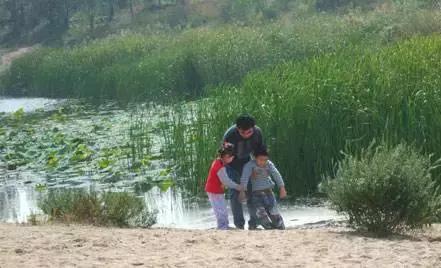 北京这38个森林公园您先收藏了!定个小目标,有空儿玩个遍!