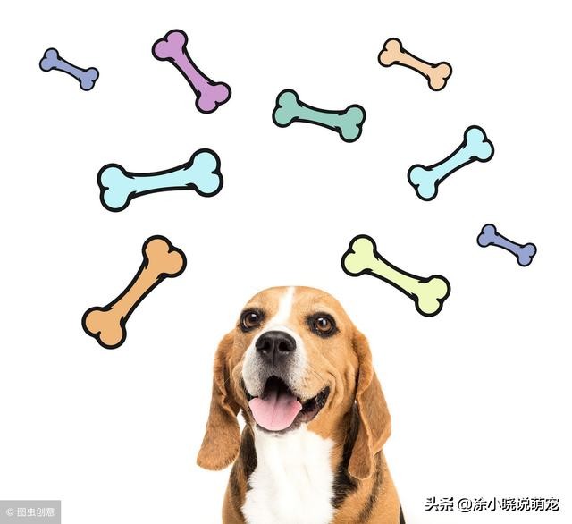 仓鼠妈妈吃仓鼠宝宝怎么挽救,仓鼠吃宝宝对仓鼠妈妈有什么害处