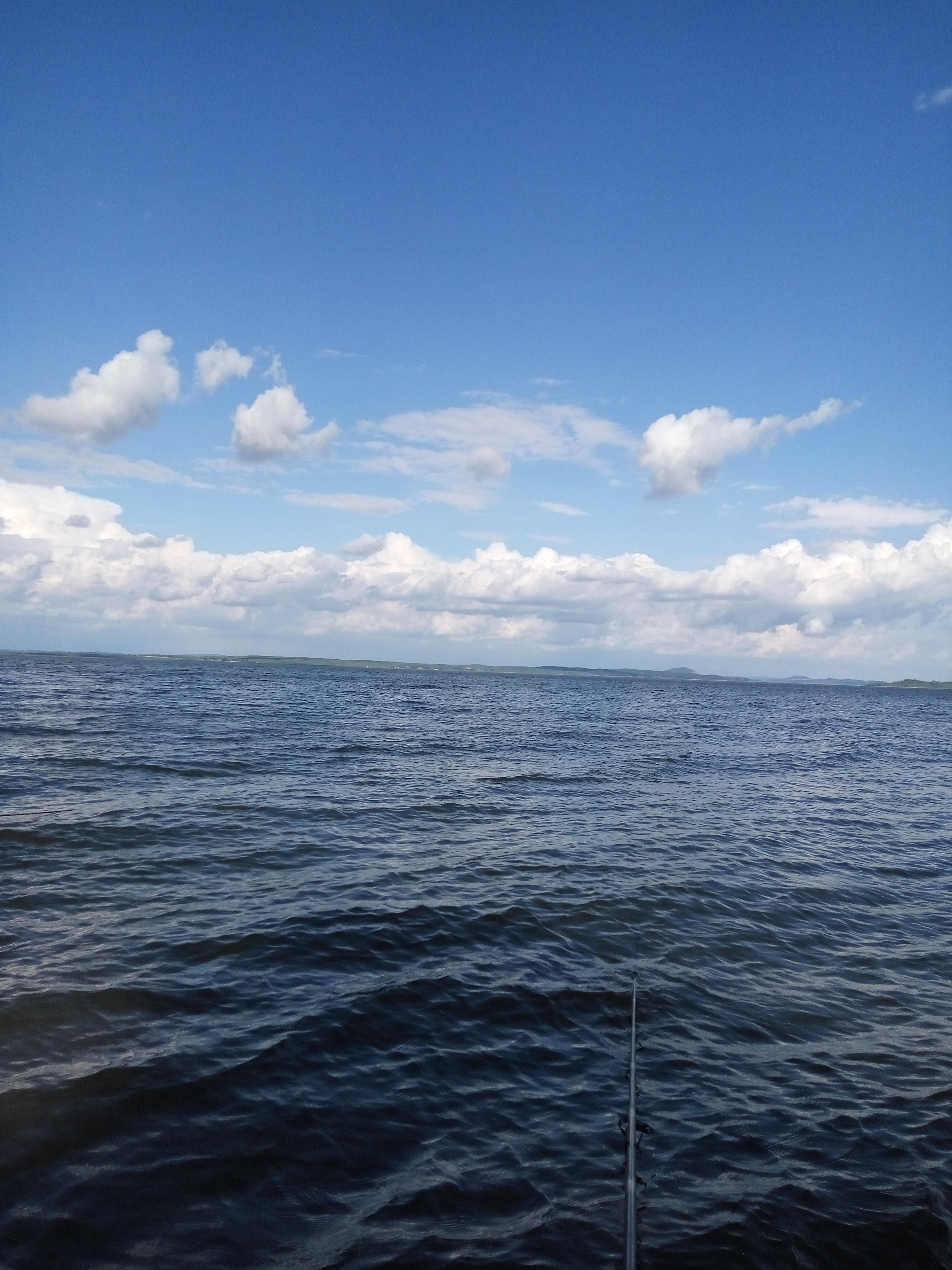 新手野钓用什么饵最好,深水野钓用饵技巧