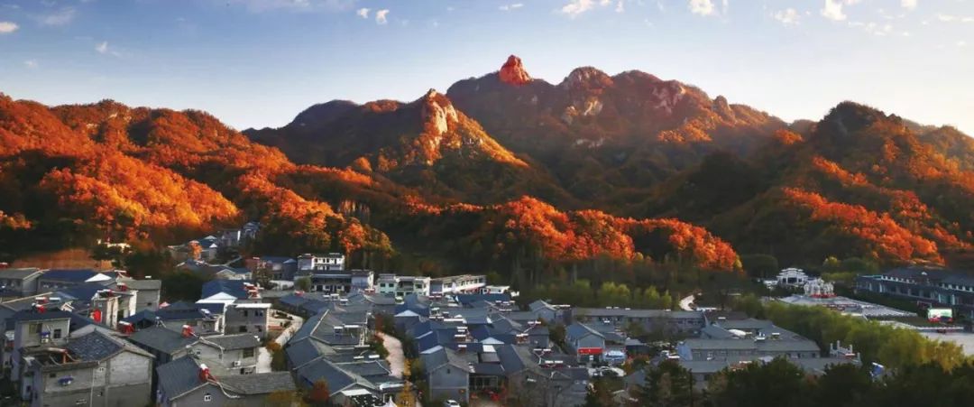 你想象的乡村是什么样的,你梦想的城市是怎样的