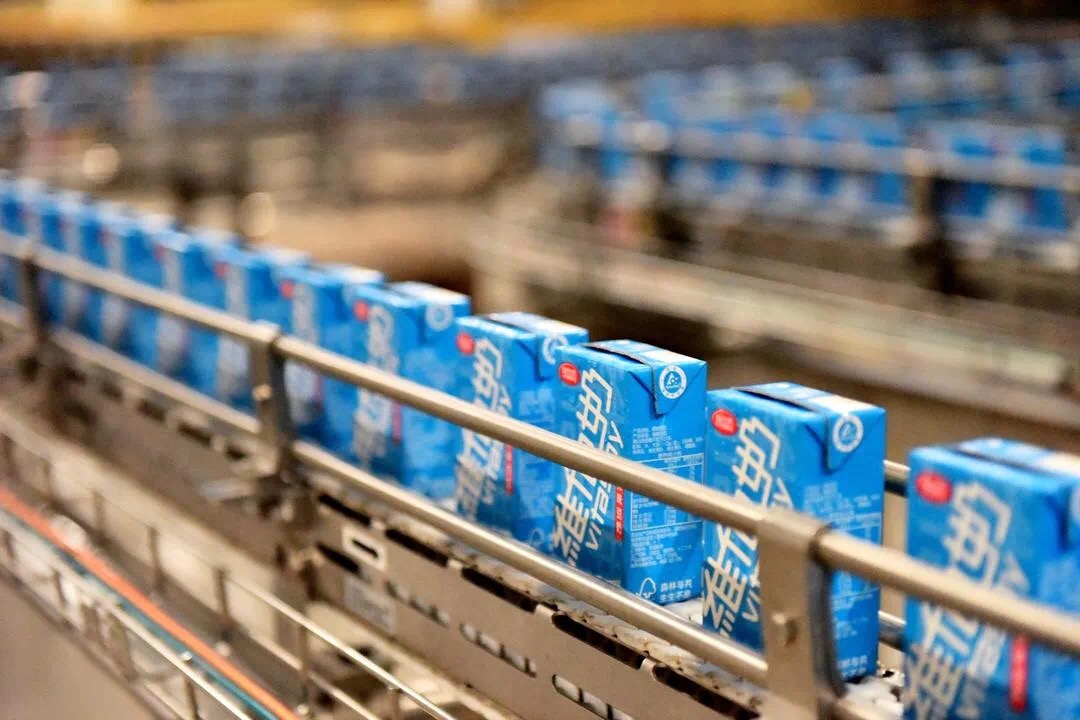 维他奶集团发展,维他奶项目规划