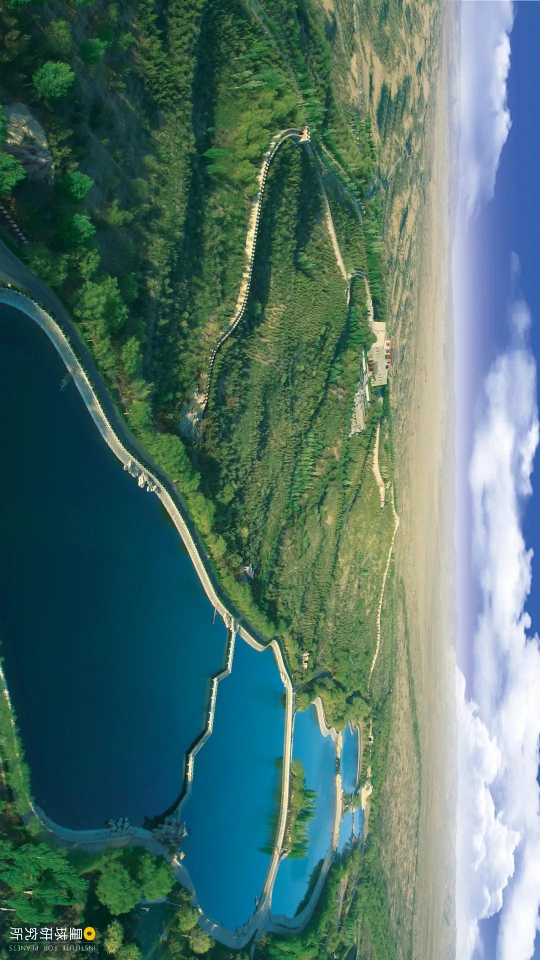 中国植树造林面积,中国植树造林成果国外有什么看法