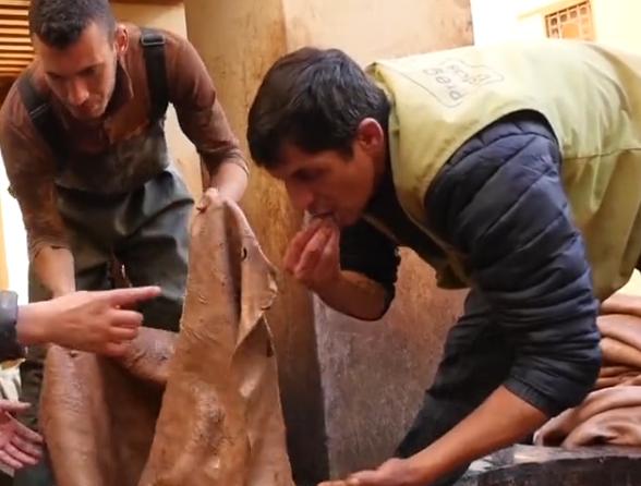 摩洛哥传承千年的古老制皮法,摩洛哥古法制皮