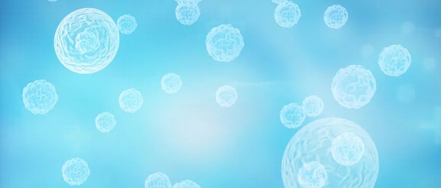 癌症化疗白细胞低了怎么办,癌症化疗后白细胞下降怎么办