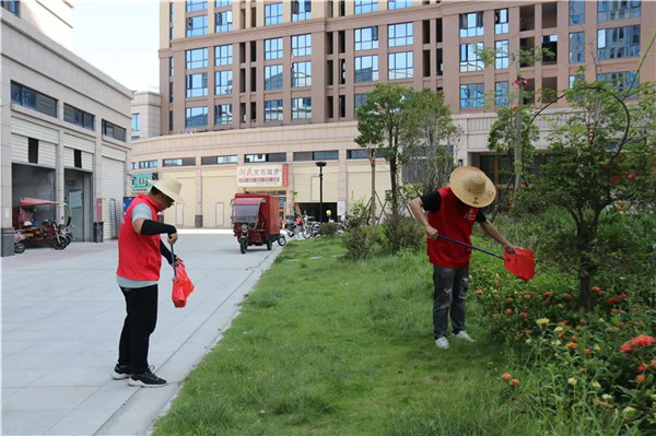 扮靓乡村颜值提升宜居水平,扮靓美丽乡村