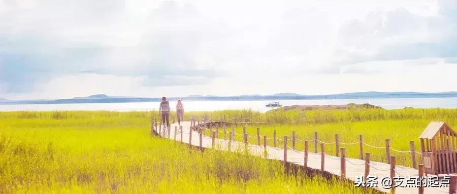 单词宝典40篇记住3500词带音标,音标词汇和基础语法全套课程