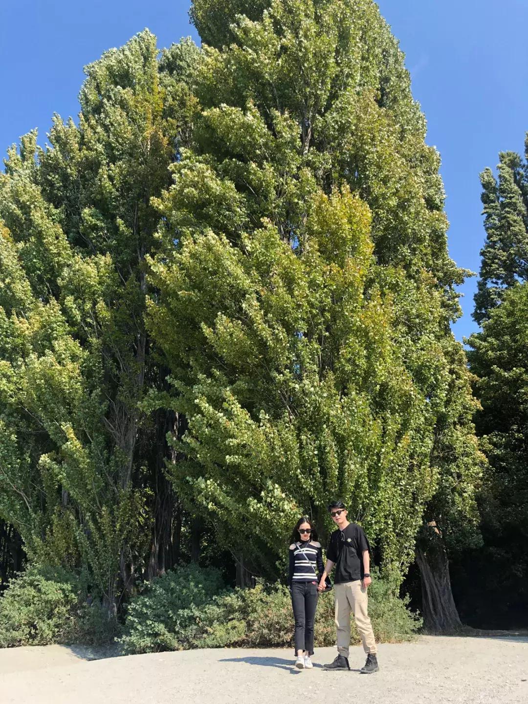 值得买的gucci,在哪网站买到最便宜的gucci