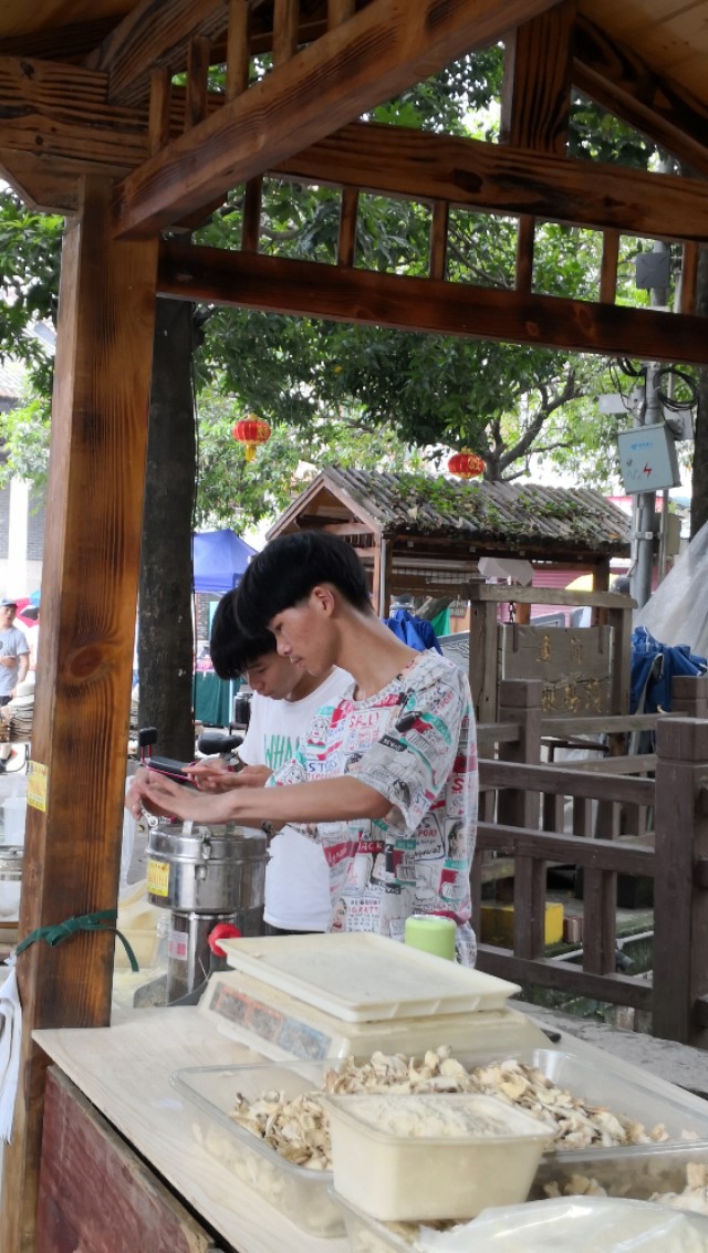 顺德逢简水乡有什么好玩的地方,顺德杏坛逢简水乡一日游攻略