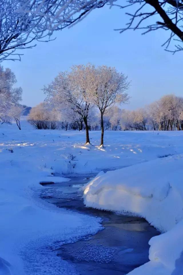 中国最美雪景地方,最适合旅游的雪国