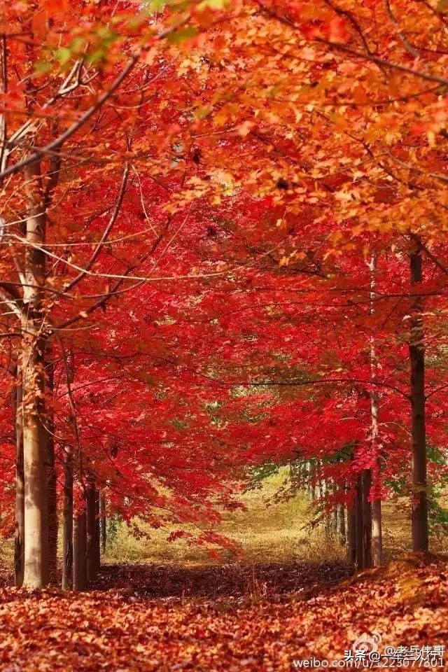 大连有一个蓝色的小城堡景点,大连秋季旅游景点攻略大全