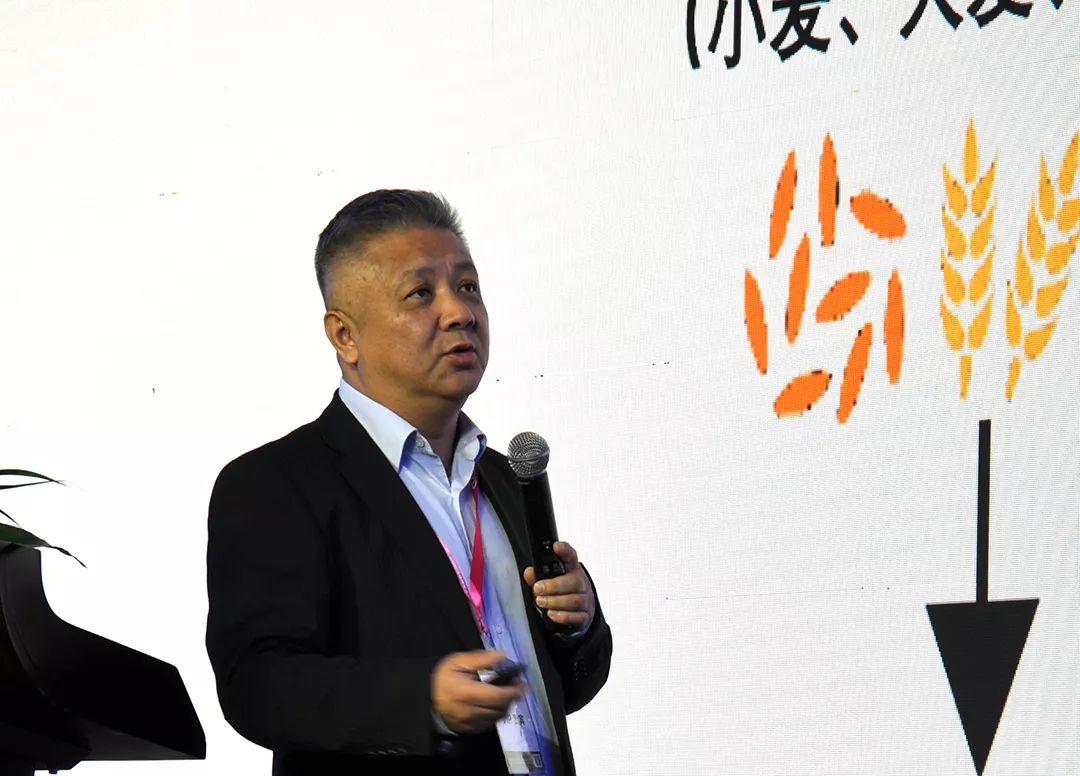 花冠酒有酱香型的吗,鲁酒振兴花冠领军系列