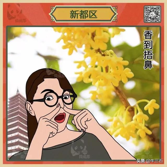 成都各区域居民烦恼图鉴,成都便民指南