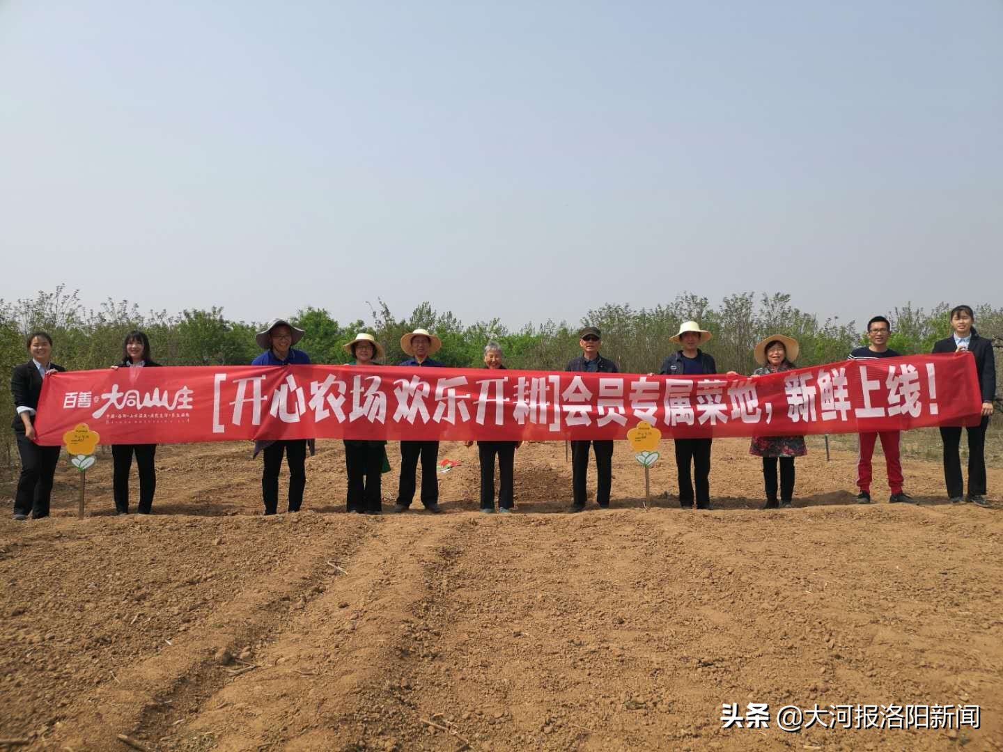 洛阳适合带长辈旅游的地方,洛阳自家一日游最佳去处