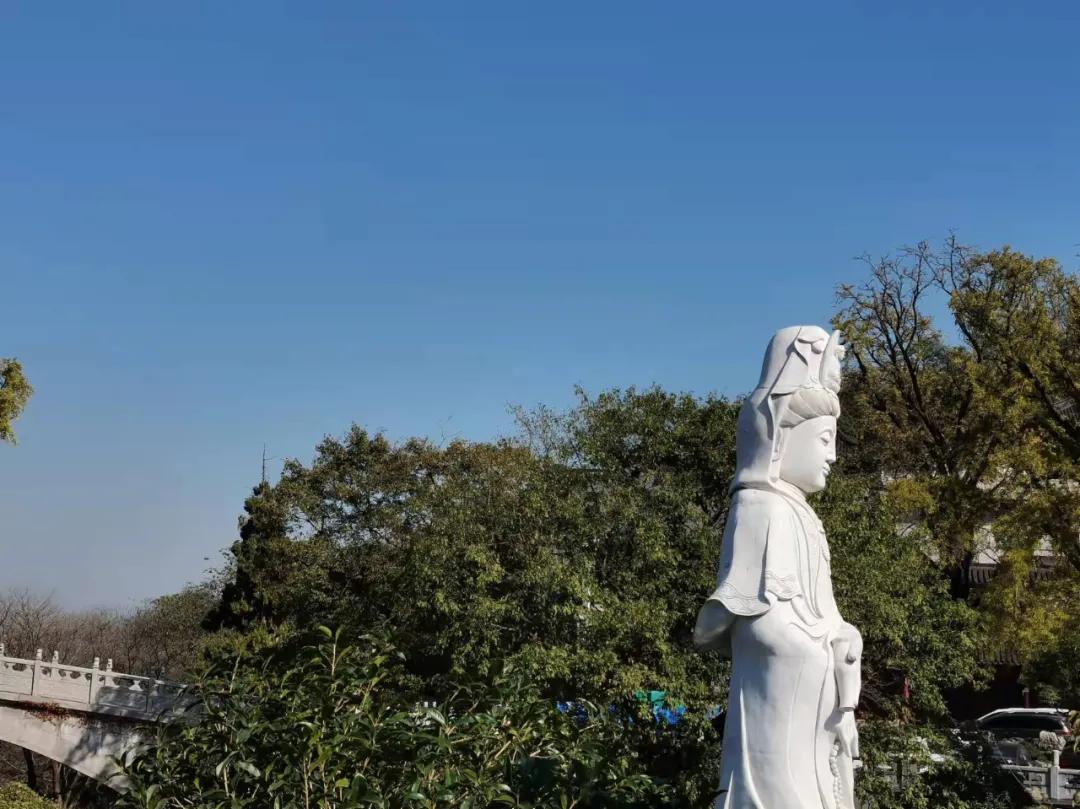 行走｜物华天宝宝华山