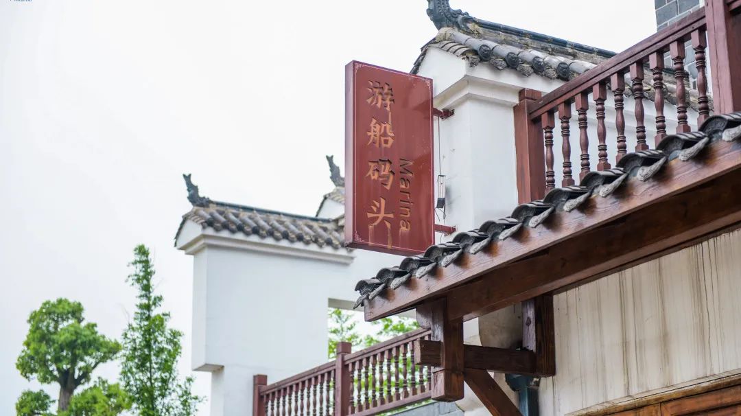 乘风破浪的姐姐们的真实感受,乘风破浪的姐姐们有多累