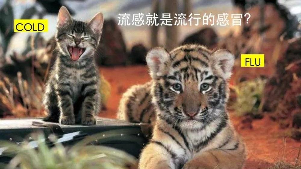 一夜爆红张文宏：抗过非典，绞过猪疱疹，正在对抗新冠病毒