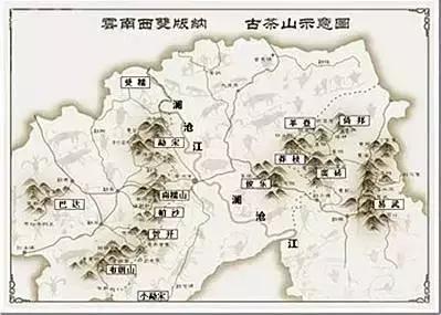 普洱茶藤条分布在哪里,普洱茶的茶山分布之四大茶区